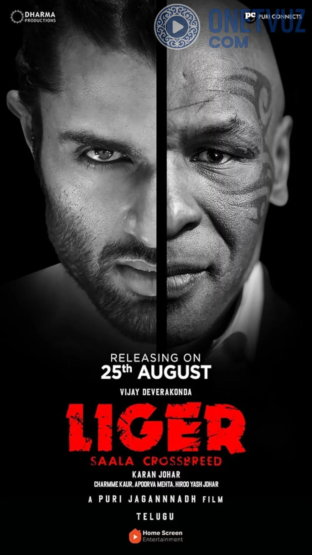 Liger -rasim