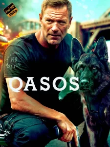 Qasos -rasim