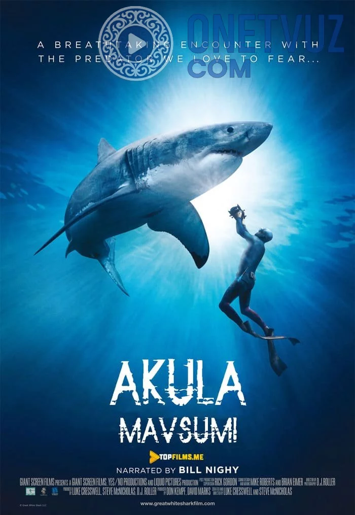 Akula Mavsumi / Akula Mavsumi Uzbek tilida (2020) Premyera Tarjima kino HD sifatda yuklab olish Skachat