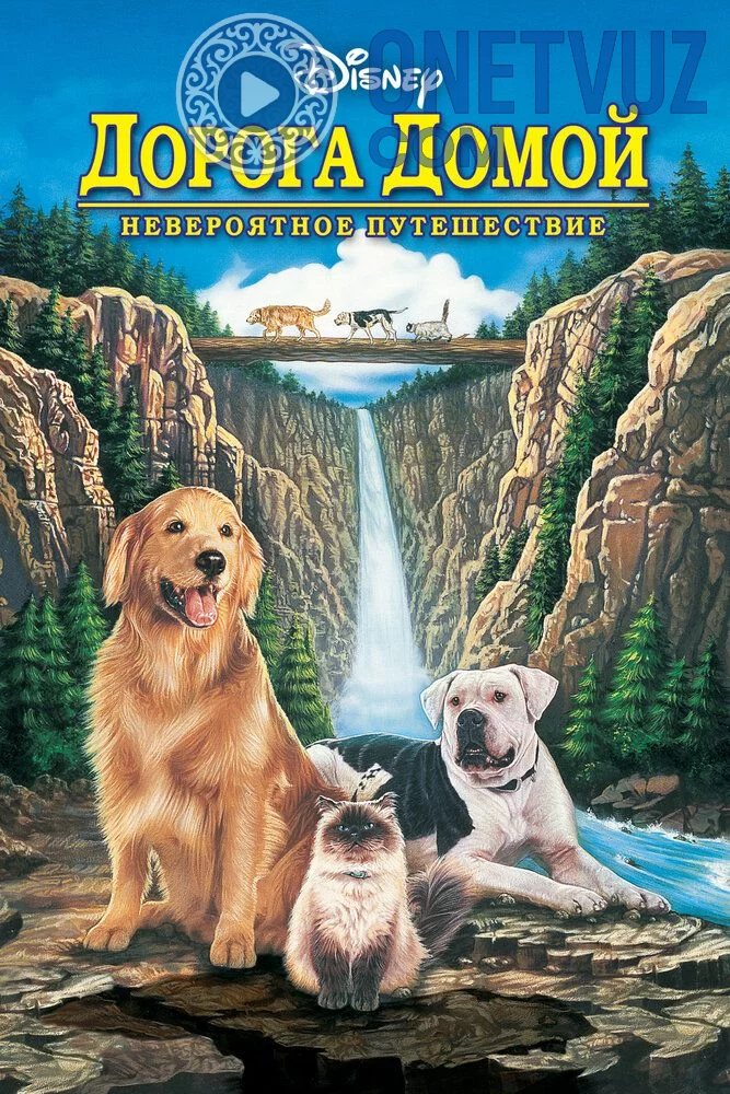 Uyga yo'l: G'aroyib sayohat Uzbek tilida (1993) Premyera Tarjima kino HD sifatda yuklab olish Skachat