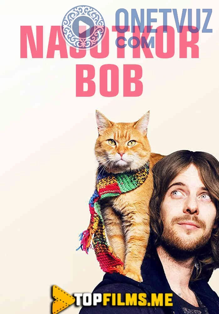 Najotkor bob Uzbek tilida (2016) Premyera Tarjima kino FHD sifatda yuklab olish kochirish