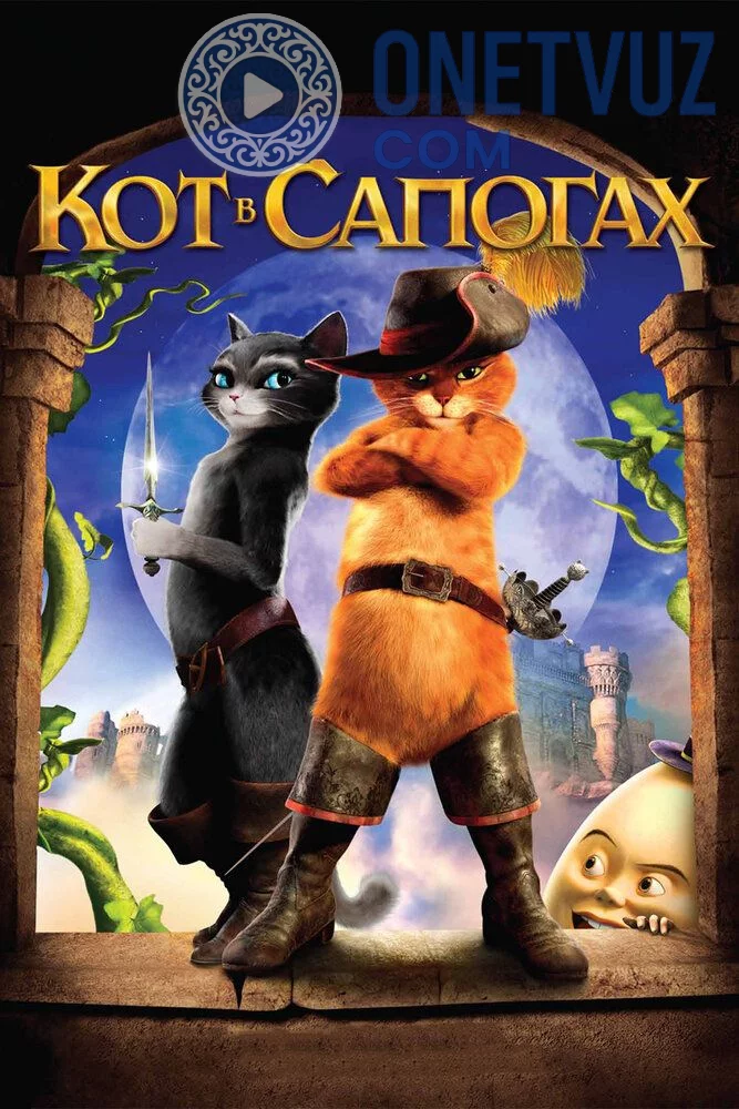 Etik kiygan mushuk Uzbek tilida -rasim