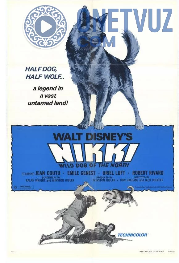 Nikki shimolning zotdor iti Uzbek tilida -rasim