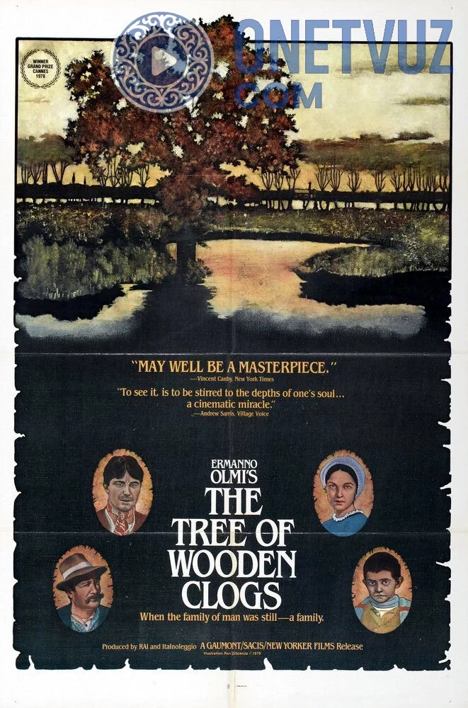 Kovush uchun kesilgan daraxt Uzbek tilida -rasim