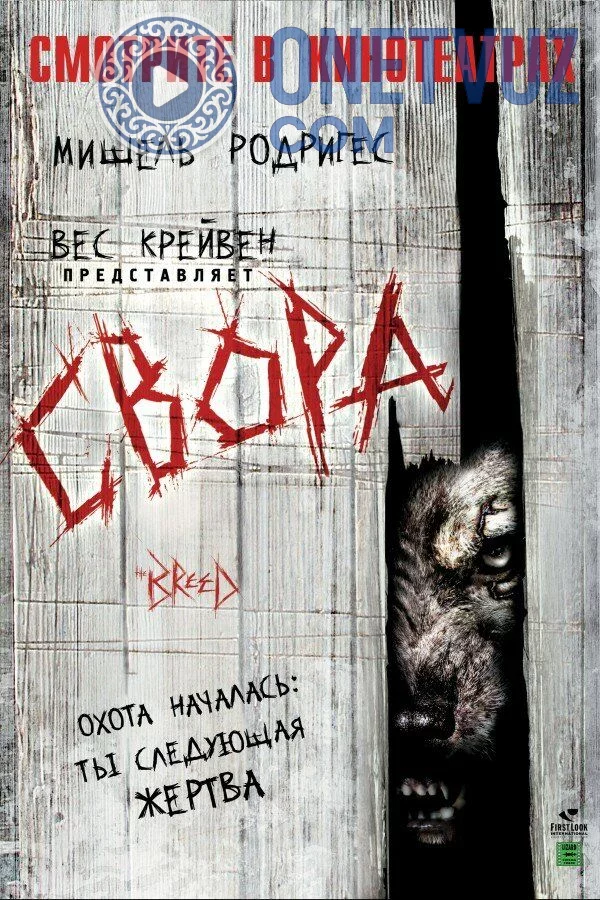 Quturgan to'da Uzbek tilida -rasim