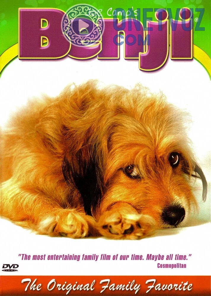 Benjining sarguzashtlari Uzbek tilida -rasim