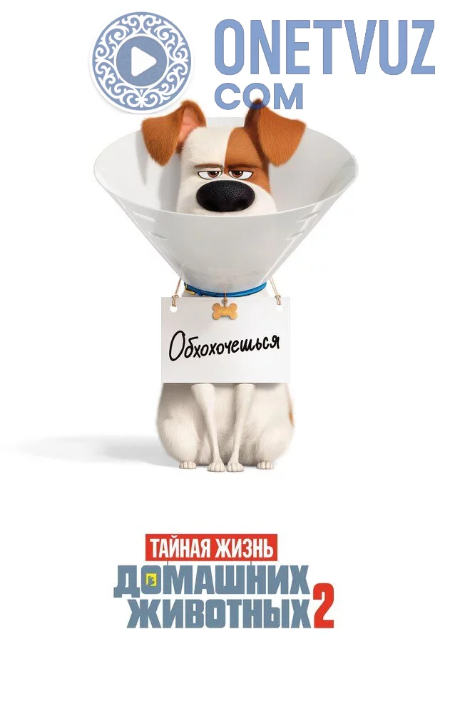 Uy hayvonlarining sirli hayoti 2 Uzbek tilida (2019) Premyera Tarjima Multfilm FHD sifatda yuklab olish Skachat